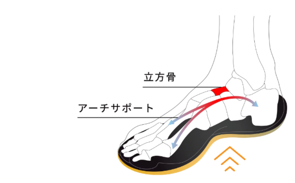 扁平足用インソールの選び方１．アーチの構造に注目！特に「3点アーチのサポート付き」がおすすめ