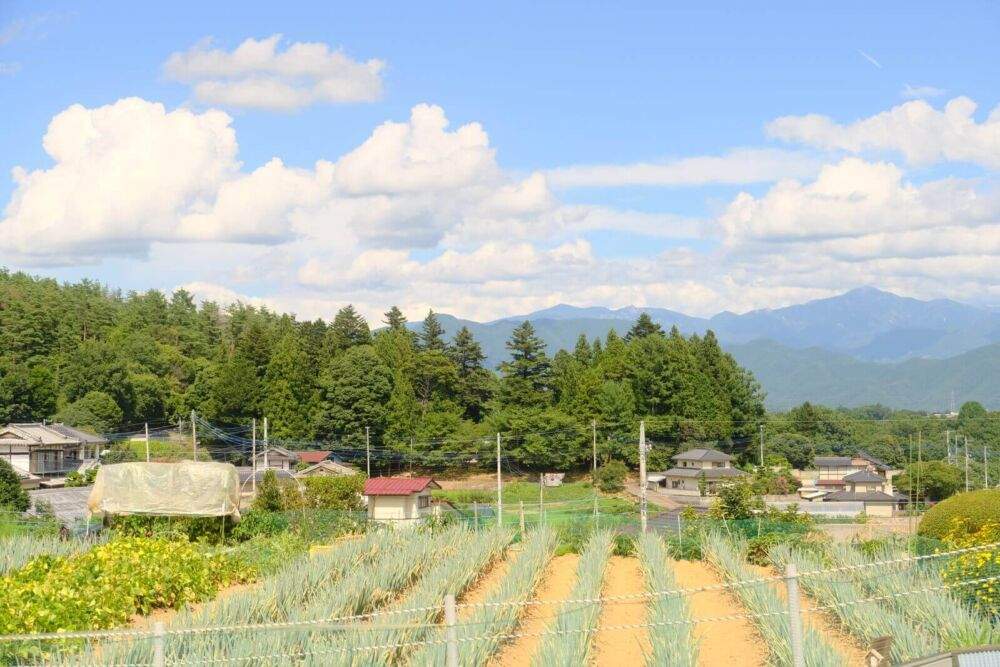 1.ウェルネスダイニングのミールキットの食材の産地や原材料は?